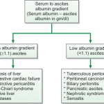 ascitic fluid analysis criterion