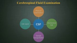 CSF analysis