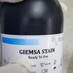 Giemsa stain