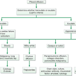 pleural fluid analysis