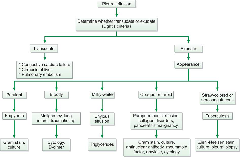 pleural fluid analysis